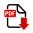 Icon PDF